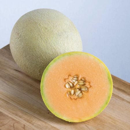 Sarah's Choice, (F1) Melon Seeds - Packet image number null